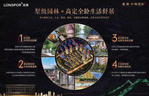 龍湖云峰原著到底好不好 龍湖云峰原著價格多少 發展前景