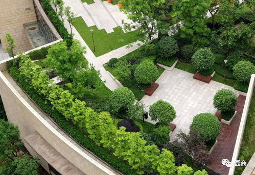 屋頂園林景觀設(shè)計