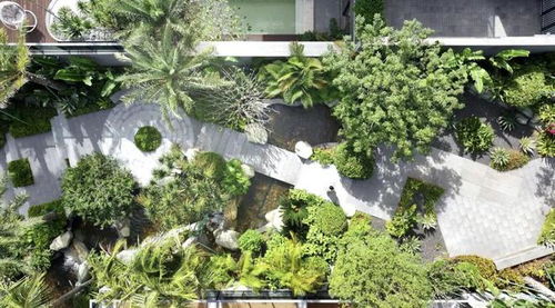 富豪群體,正在搶入三亞資產